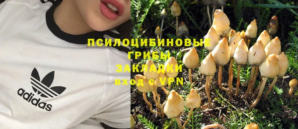 шишки Лиски