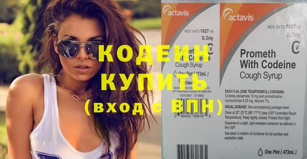 шишки Лиски