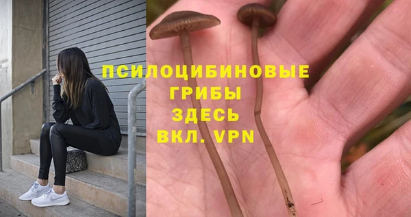 мдма Липки
